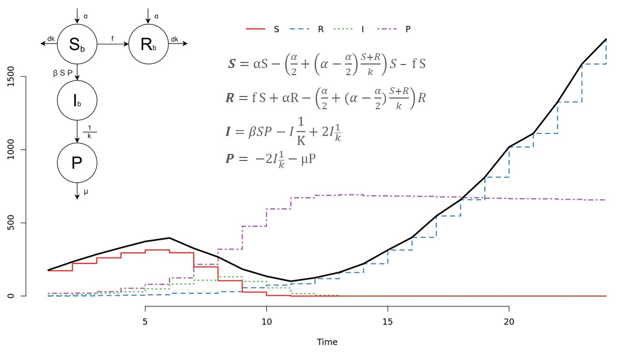 The image shows a simulation carried out to investigate the population interactions of bacteria, phages and their changes on time considering infection and resistance to phage infection. Also,  the equations and parameters  are detailed.